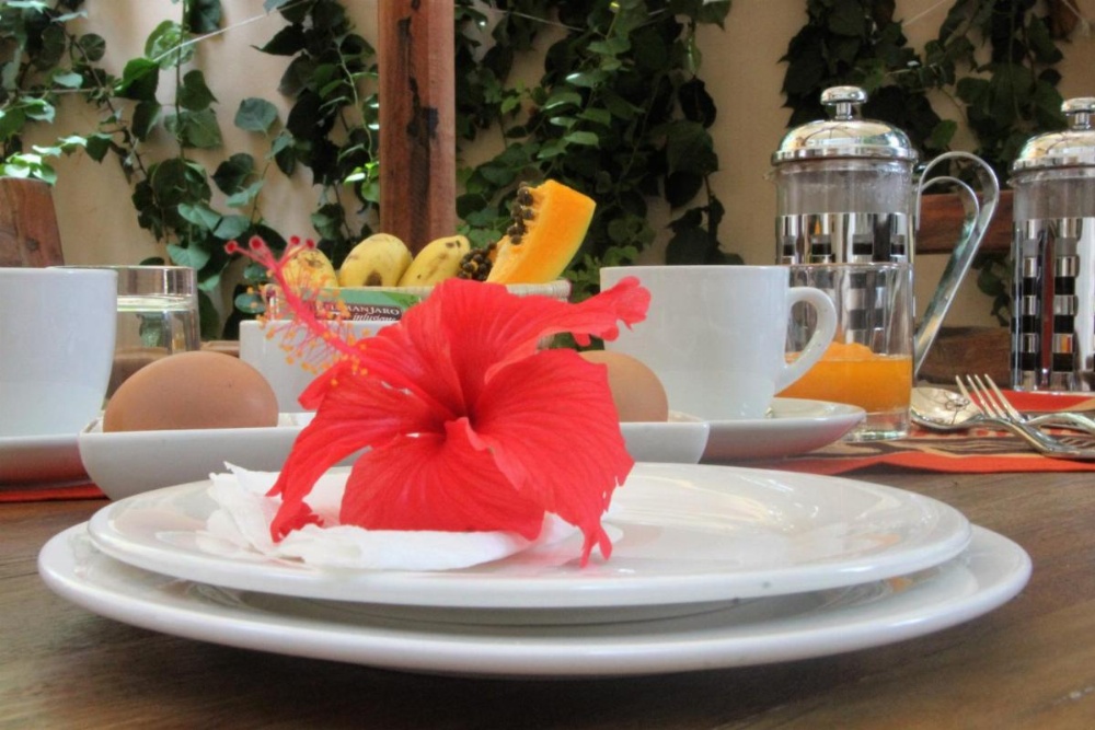 Shaba Boutique Hotel city centre